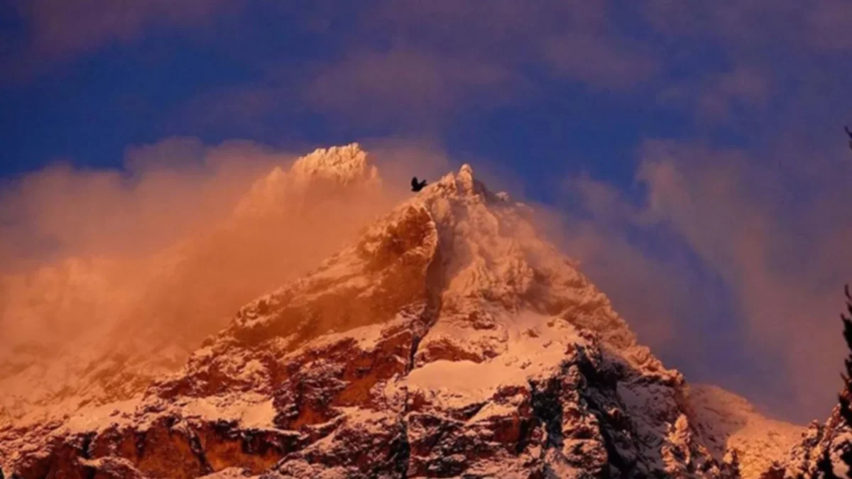 Tras dos días de búsqueda apareció la turista porteña desaparecida en la Patagonia