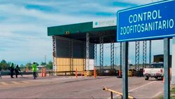 Barrera sanitaria: el asado de Brasil se podrá comprar en la región a 9 mil pesos