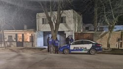 Mujer devorada por sus perros: qué pistas busca la Justicia