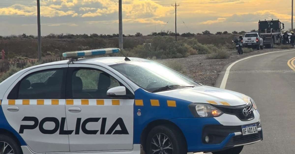 Chocaron contra dos caballos en la Ruta 51 y se salvaron de milagro: un ...