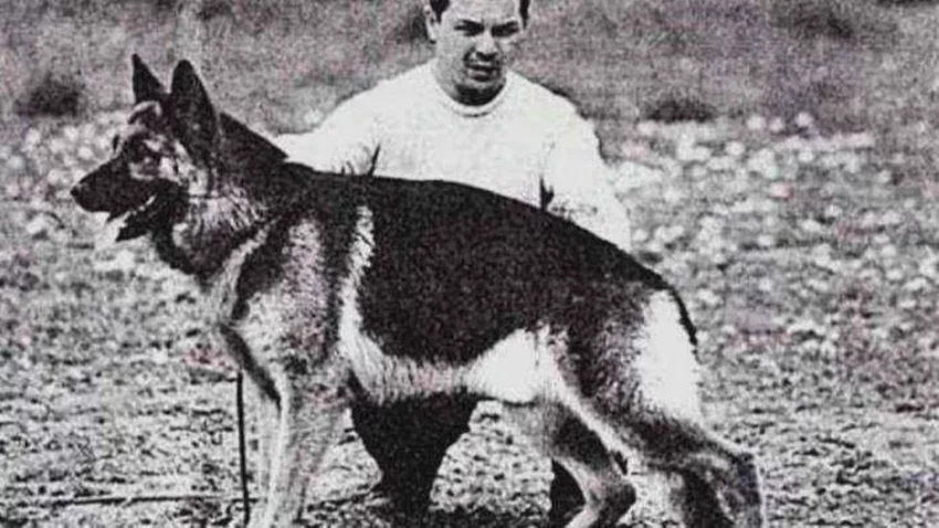 La conmovedora historia de Chonino que originó el Día Nacional del Perro