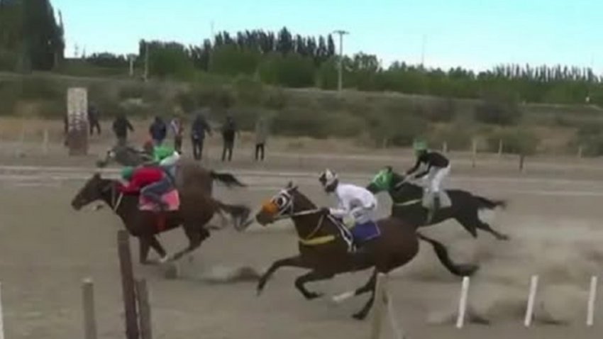 Thiago lucha por su vida tras ser atropellado por un caballo en Mainqué: su estado de salud
