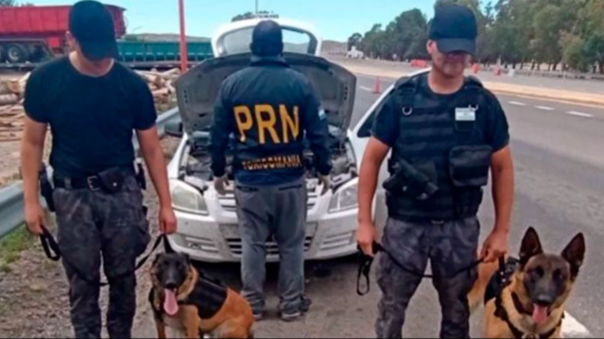 Detenidos con cocaína: viajaban a Chimpay y cometieron un grave error