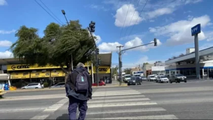 Mientras hay ola polar, vuelve el viento a Neuquén: de cuánto serán las ráfagas