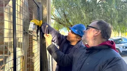 Detectaron en Cipolletti consumos de hasta $300.000 por mal uso de la energía eléctrica 