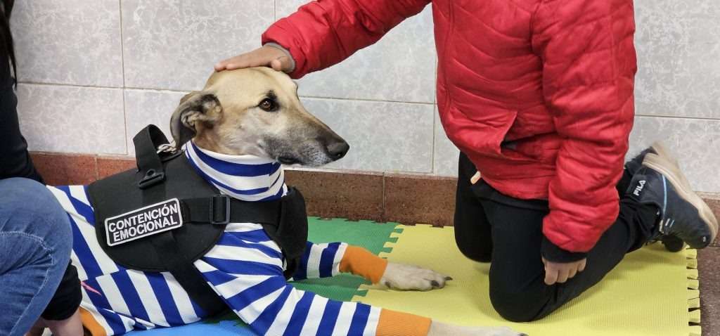 Burlete, el perrito que venció al cáncer y hoy devuelve amor a los niños internados en el Castro Rendón