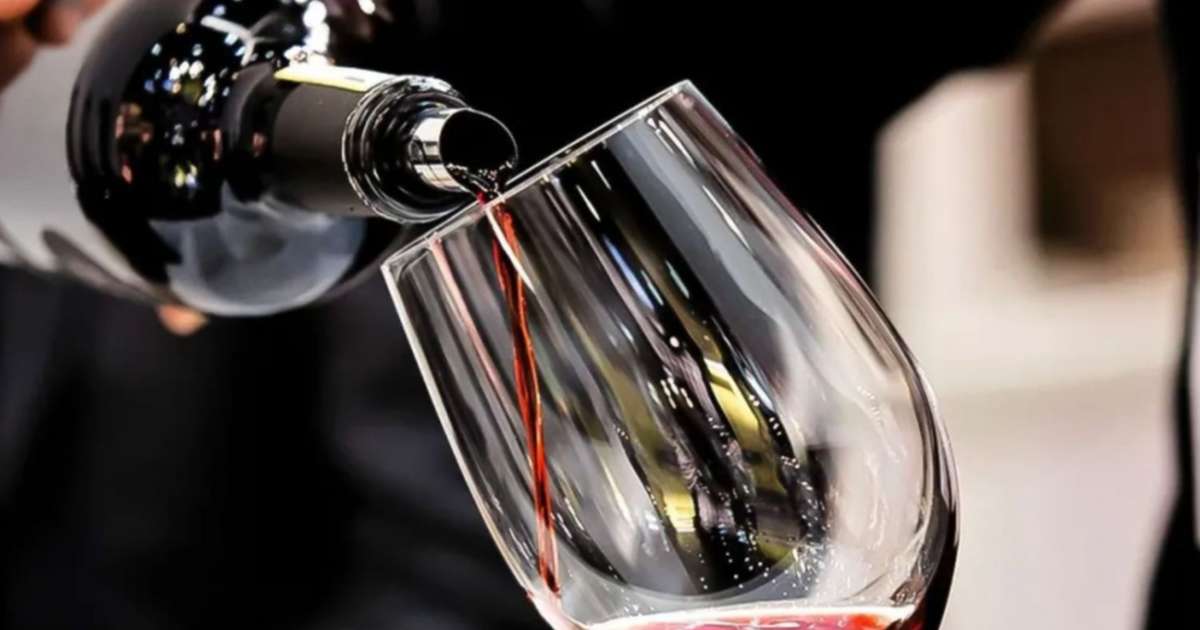 El vino como pasaporte al mundo: la Ruta Patagónica que busca atraer turistas internacionales a Neuquén 