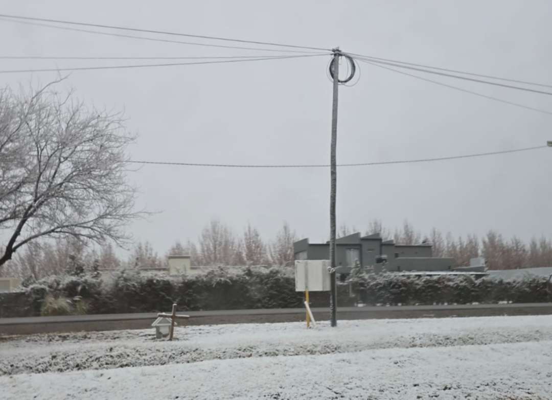 Nevó en Neuquén: la capital y ciudades del Alto Valle cubiertas de blanco este sábado