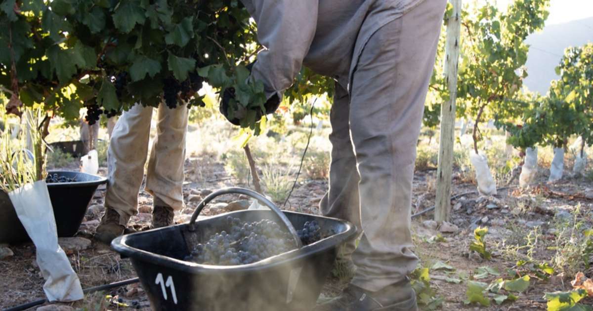 Cava Club une a Bodega Chañarmuyo y Friendly Parador del Bosque en Parque Leloir