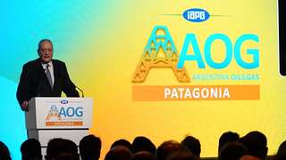 Milei quiere multiplicar el modelo Vaca Muerta, Figueroa busca subir a Neuquén al podio exportador y el diagnóstico del IAPG